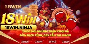 Xem Đá Gà Thomo Trực Tiếp Trên 18win