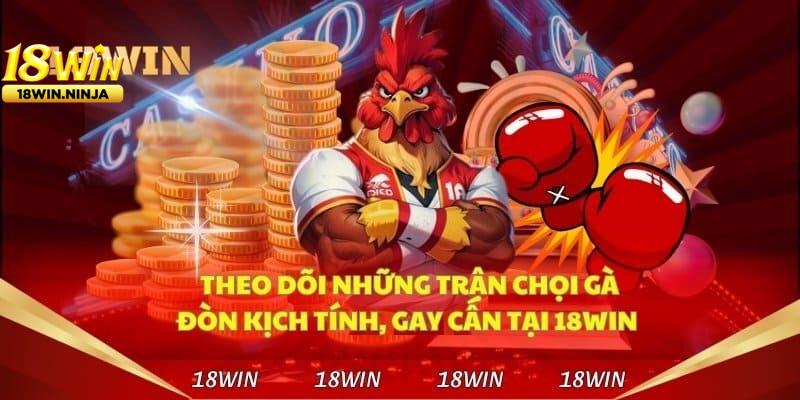 Xem Đá Gà Thomo Trực Tiếp Trên 18win