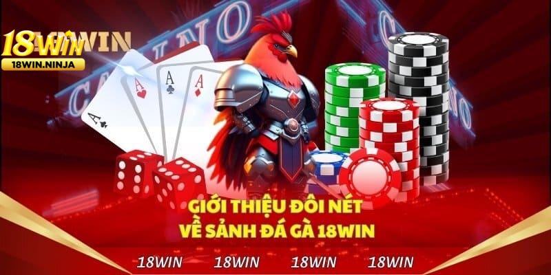 Đá Gà Trực Tiếp 18win Là Gì? Trải Nghiệm Xem Đá Gà Online Chất Lượng Cao